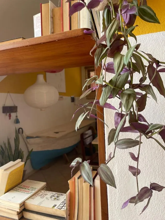 Apartamento Casa Carlotta Maio Cidade do Maio 0*,  Cabo Verde